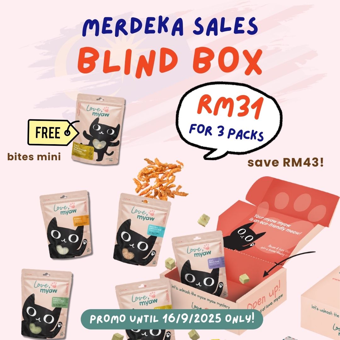 RM31 Blind Box